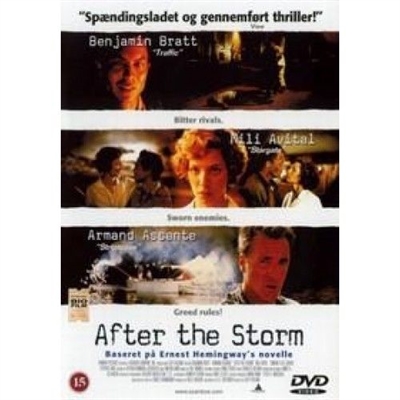 After the Storm (2001) [DVD]