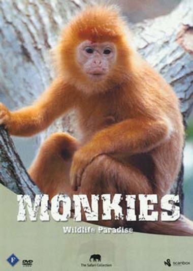 Monkies [DVD]