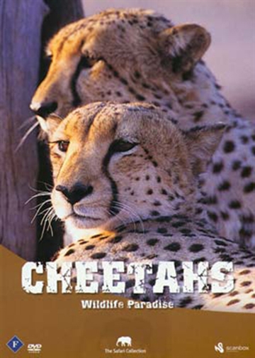 Cheetahs [DVD]