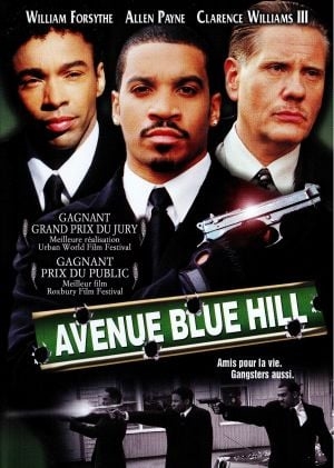 Blue Hill Avenue (2001) [DVD]