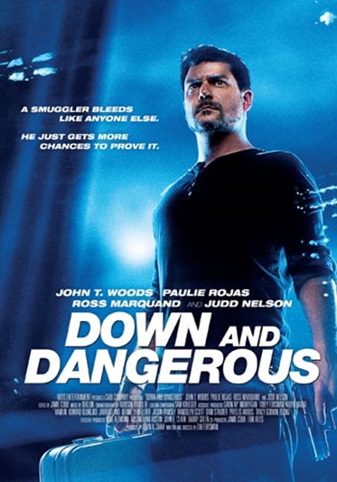 Down and Dangerous (2013) [DVD]